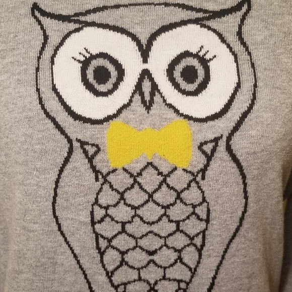 Old Navy Owl lightweight sweater size M - Picture 2 of 3
